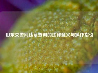 山东交警网违章查询的法律意义与操作指引
