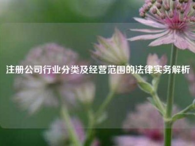 注册公司行业分类及经营范围的法律实务解析