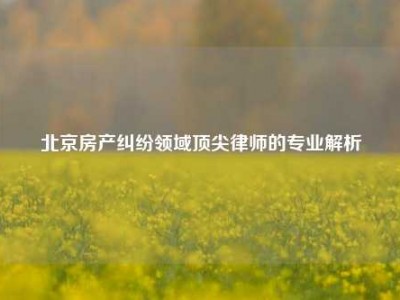 北京房产纠纷领域顶尖律师的专业解析