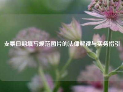 支票日期填写规范图片的法律解读与实务指引