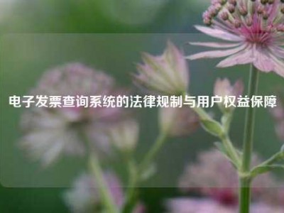 电子发票查询系统的法律规制与用户权益保障