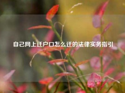 自己网上迁户口怎么迁的法律实务指引