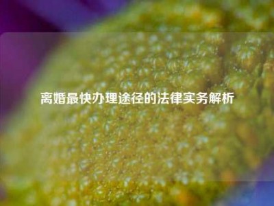 离婚最快办理途径的法律实务解析