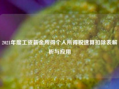 2021年度工资薪金所得个人所得税速算扣除表解析与应用