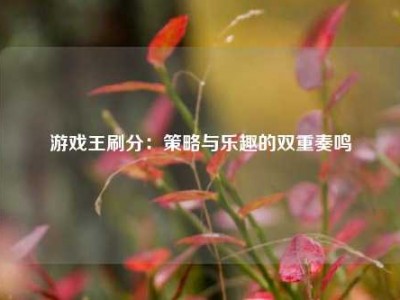 游戏王刷分：策略与乐趣的双重奏鸣