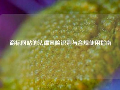商标网站的法律风险识别与合规使用指南