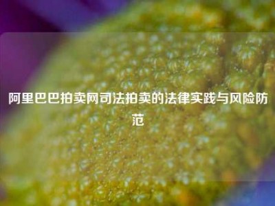 阿里巴巴拍卖网司法拍卖的法律实践与风险防范