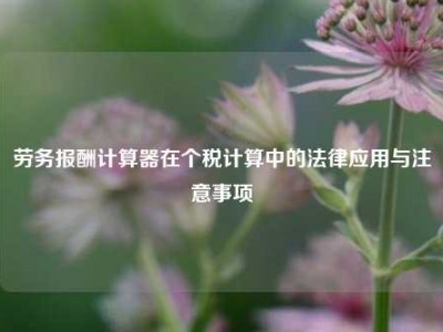 劳务报酬计算器在个税计算中的法律应用与注意事项