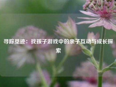 寻踪觅迹：找孩子游戏中的亲子互动与成长探索