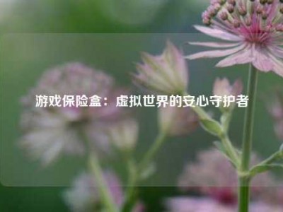 游戏保险盒：虚拟世界的安心守护者