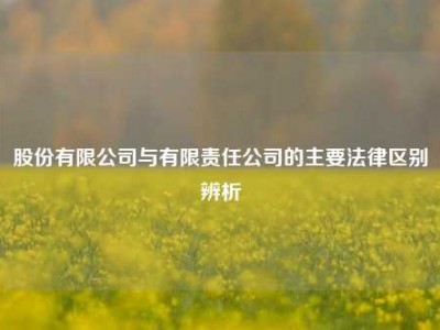 股份有限公司与有限责任公司的主要法律区别辨析