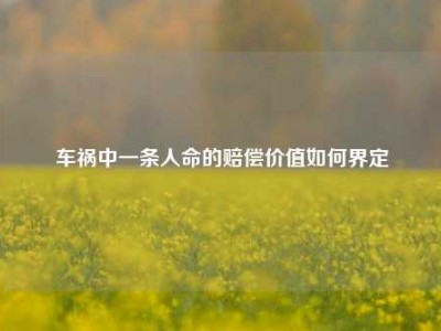 车祸中一条人命的赔偿价值如何界定