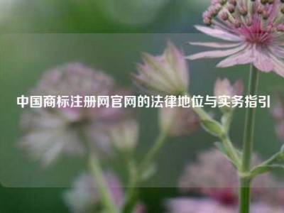 中国商标注册网官网的法律地位与实务指引