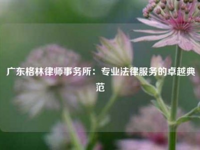广东格林律师事务所：专业法律服务的卓越典范