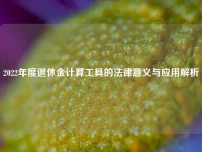 2022年度退休金计算工具的法律意义与应用解析