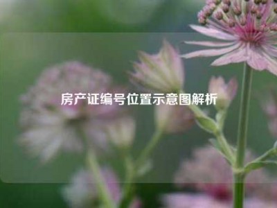 房产证编号位置示意图解析