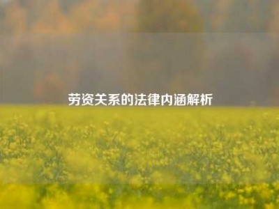 劳资关系的法律内涵解析