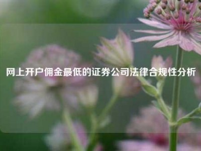 网上开户佣金最低的证券公司法律合规性分析
