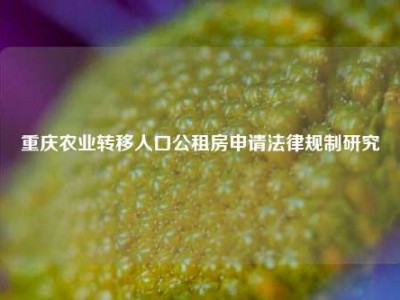 重庆农业转移人口公租房申请法律规制研究