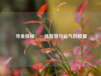  寻金探秘：一场智慧与运气的较量