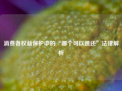 消费者权益保护中的“哪个可以退还”法律解析