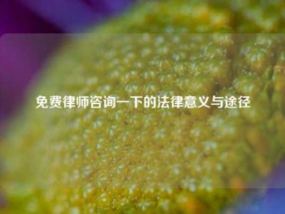 免费律师咨询一下的法律意义与途径