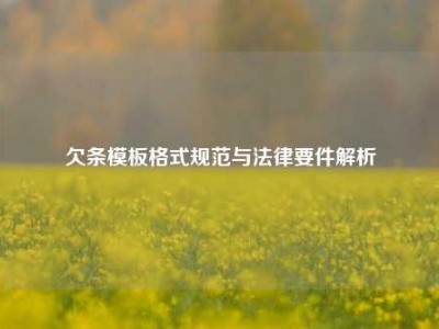 欠条模板格式规范与法律要件解析
