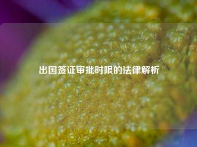 出国签证审批时限的法律解析