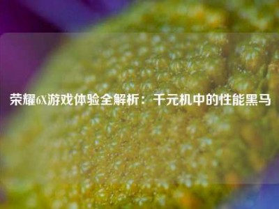 荣耀6X游戏体验全解析：千元机中的性能黑马