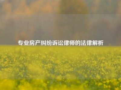 专业房产纠纷诉讼律师的法律解析