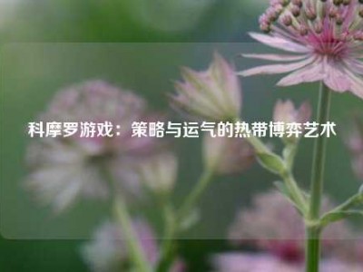 科摩罗游戏：策略与运气的热带博弈艺术