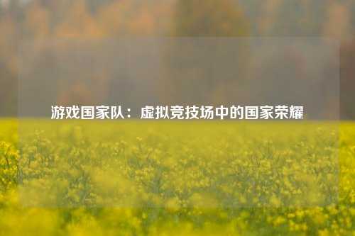 游戏国家队:虚拟竞技场中的国家荣耀