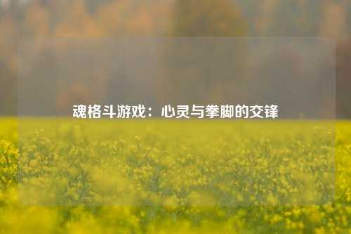 魂格斗游戏:心灵与拳脚的交锋