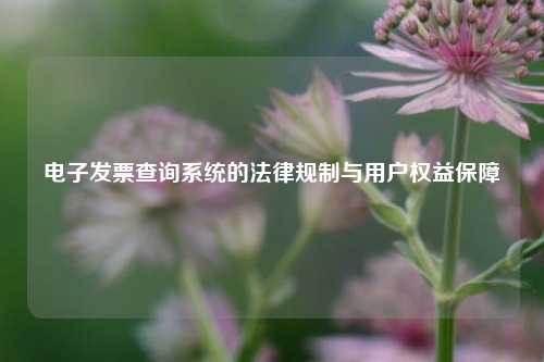 电子发票查询系统的法律规制与用户权益保障