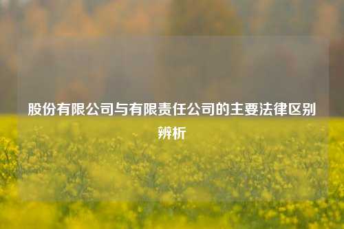 股份有限公司与有限责任公司的主要法律区别辨析