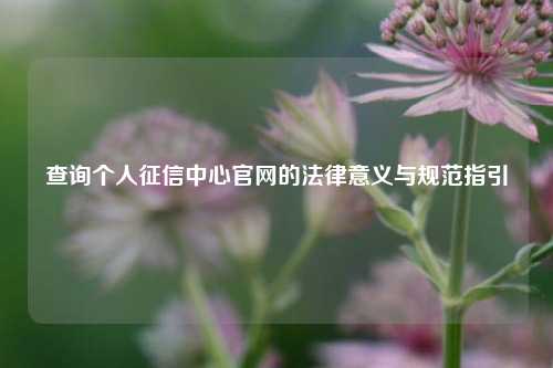 查询个人征信中心官网的法律意义与规范指引
