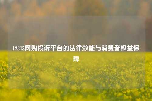 12315网购投诉平台的法律效能与消费者权益保障