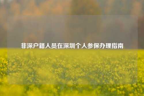 非深户籍人员在深圳个人参保办理指南