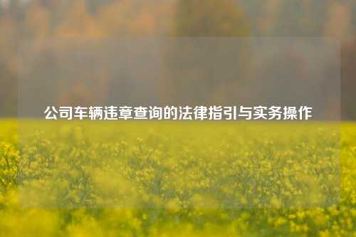 公司车辆违章查询的法律指引与实务操作
