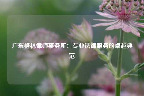 广东格林律师事务所：专业法律服务的卓越典范