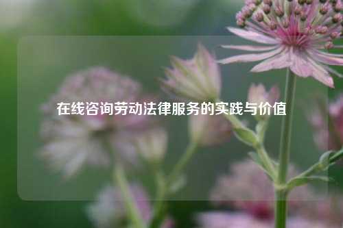 在线咨询劳动法律服务的实践与价值