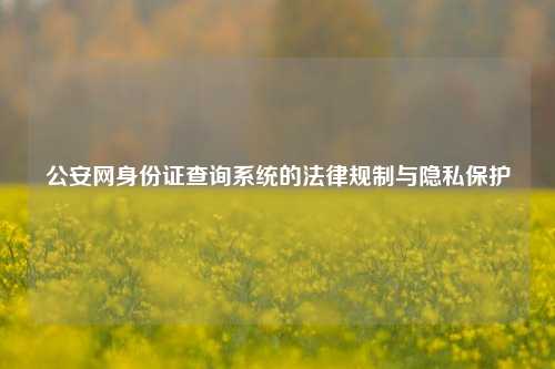 公安网身份证查询系统的法律规制与隐私保护